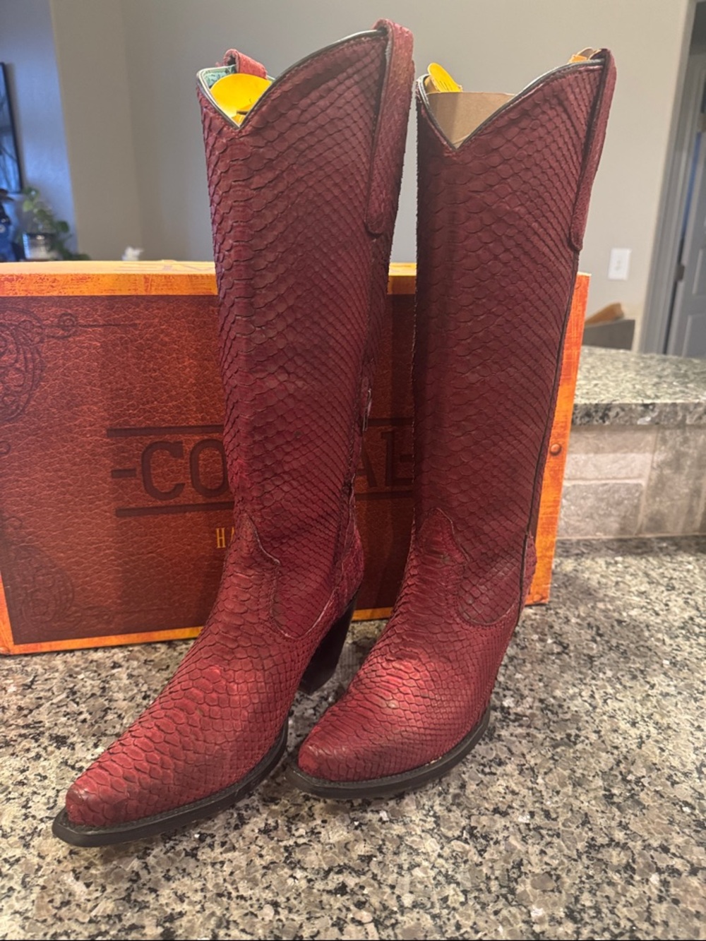 Burgundy python snip toe tall Heeled Boots